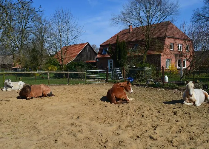 Ferienwohnung Noltenius